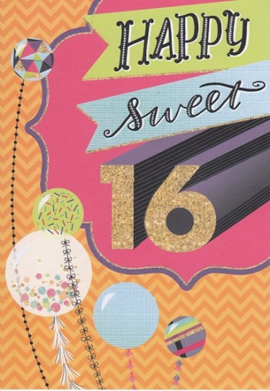 2513A 16YR